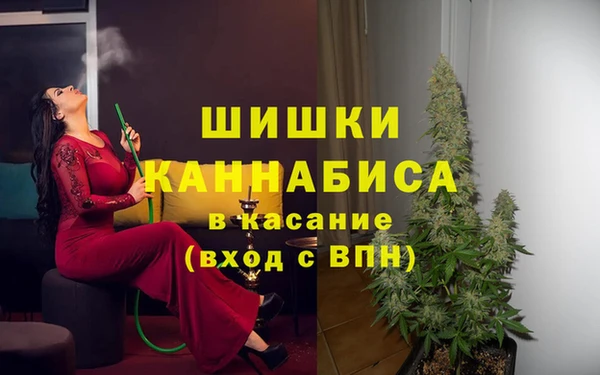 Альфа ПВП Богородск